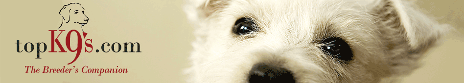 dogs,breeders,puppies for sale,stud dogs